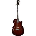 Elektrische gitaar review Taylor T5z Classic DLX