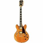 Elektrische gitaar review DAngelico Excel Mini DC Vintage Natural