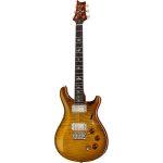 Elektrische gitaar review PRS DGT Birds MS