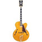 Elektrische gitaar review DAngelico Excel EXL1 Amber