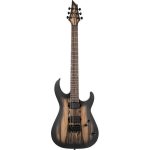 Elektrische gitaar review Cort KX500 PM NT
