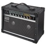 Roland JC-22 Review: Dit Moet Je Weten Voor Je Koopt