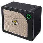 Mooer Hornet 30i Modeling Amp Black Review: Een Slimme Investering?