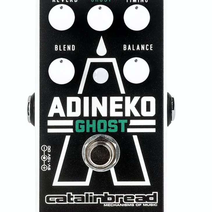 Catalinbread Adineko Ghost Delay Review: Een must-have voor je sound?