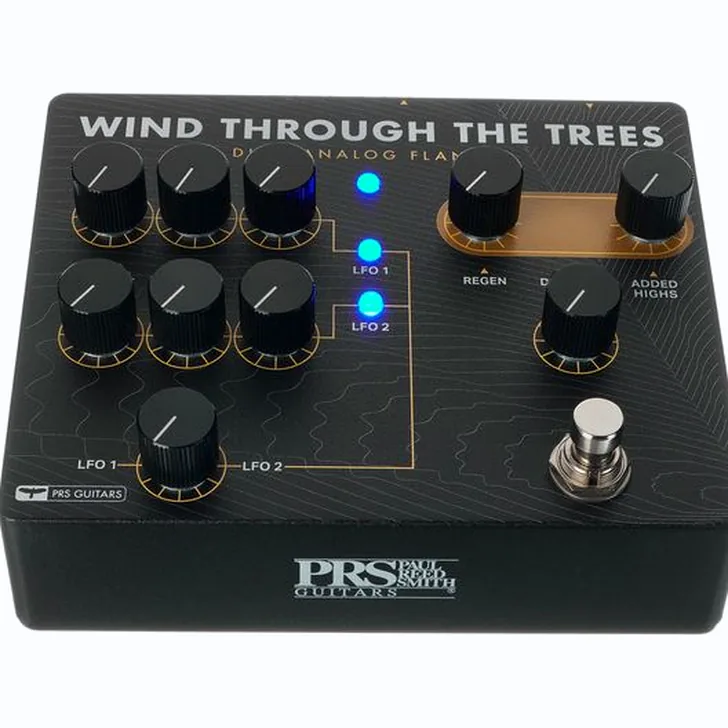 Complete PRS Wind Through the trees Dual Fl Review (Nederlandse gids)