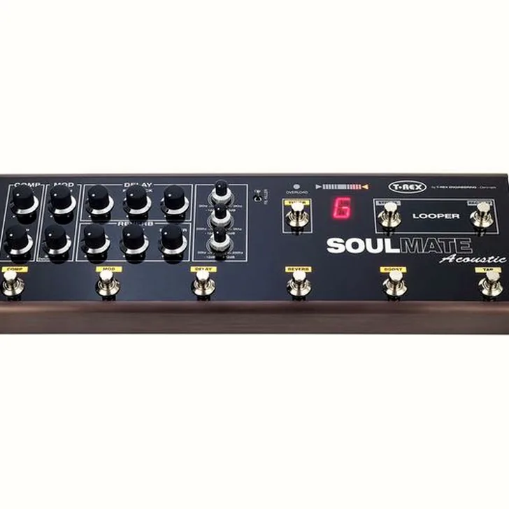 Complete T-Rex Soulmate Acoustic Bundle Review (Nederlandse gids)
