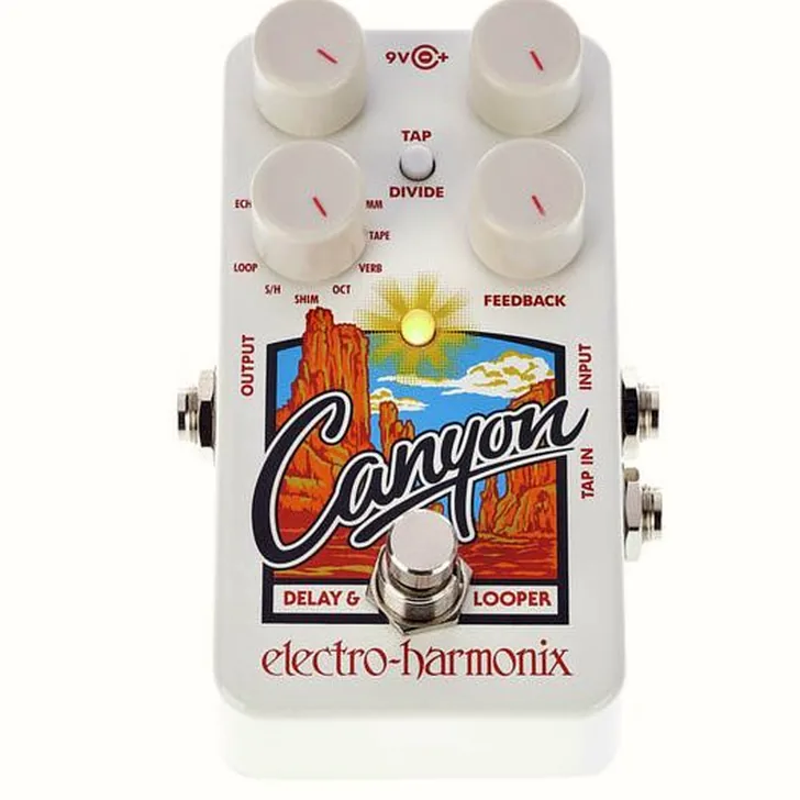 Electro Harmonix Canyon Delay & Looper Review: Alle voor- en nadelen op een rij