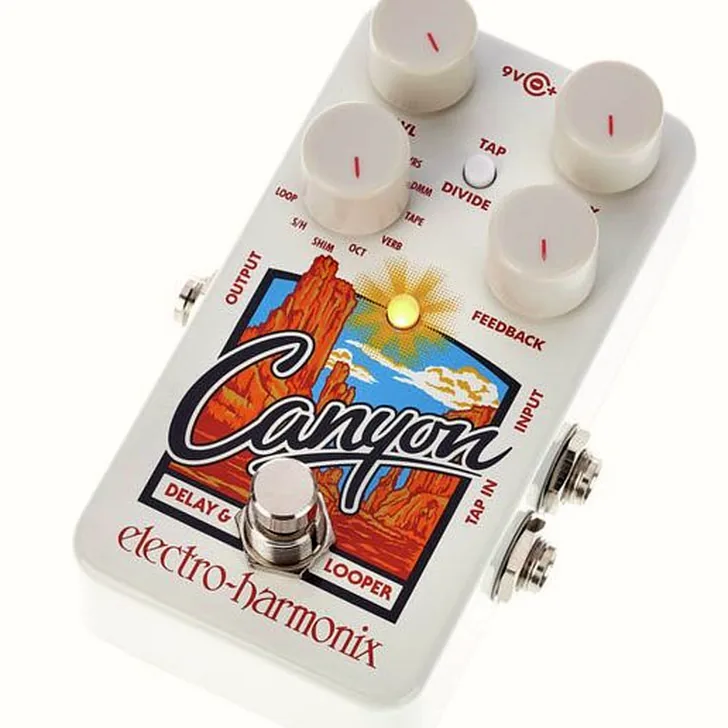 Electro Harmonix Canyon Delay & Looper Review: Alle voor- en nadelen op een rij