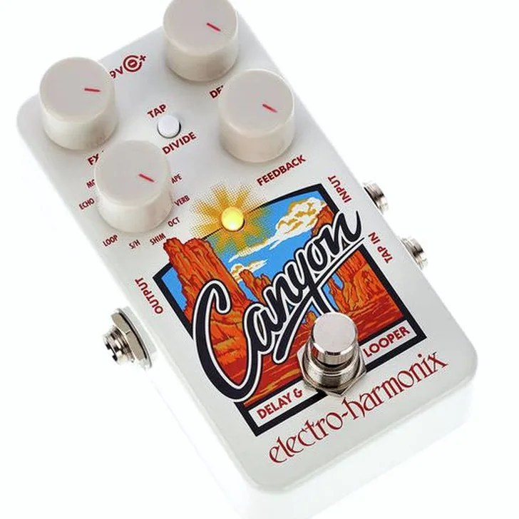 Electro Harmonix Canyon Delay & Looper Review: Alle voor- en nadelen op een rij