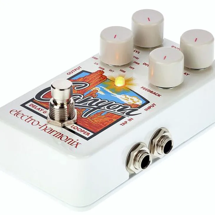 Electro Harmonix Canyon Delay & Looper Review: Alle voor- en nadelen op een rij