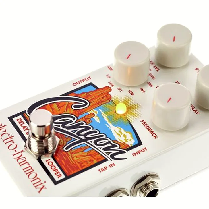 Electro Harmonix Canyon Delay & Looper Review: Alle voor- en nadelen op een rij