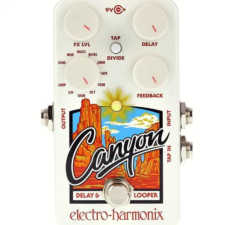 Electro Harmonix Canyon Delay & Looper Review: Alle voor- en nadelen op een rij