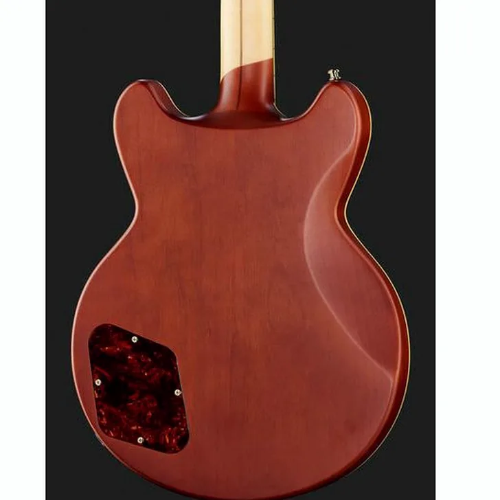 Elektrische gitaar review DAngelico Deluxe Brighton Matte Walnut
