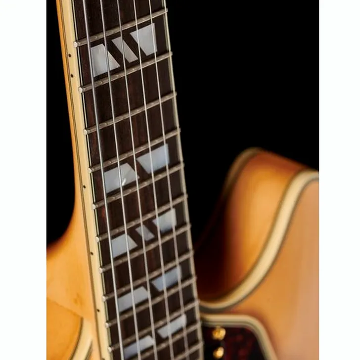 Elektrische gitaar review DAngelico Deluxe DC Satin Honey