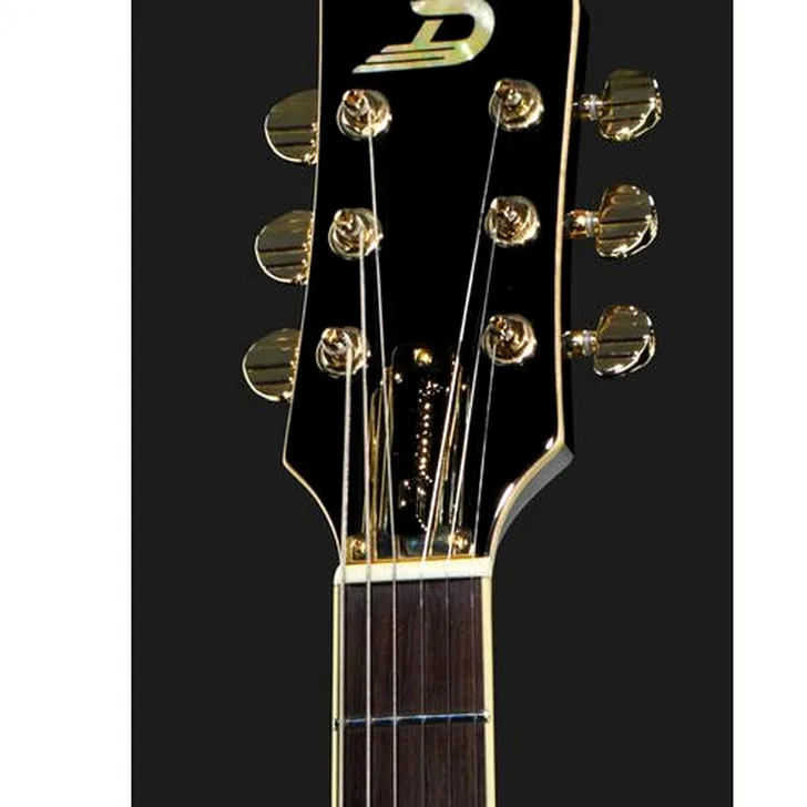 Elektrische gitaar review Duesenberg Starplayer TV Custom Black