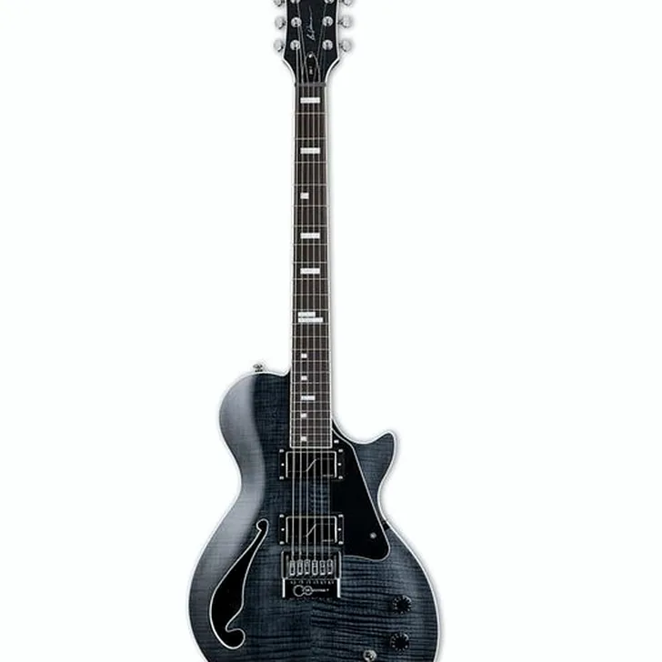 Elektrische gitaar review ESP LTD BW 1 FMET STBLKF