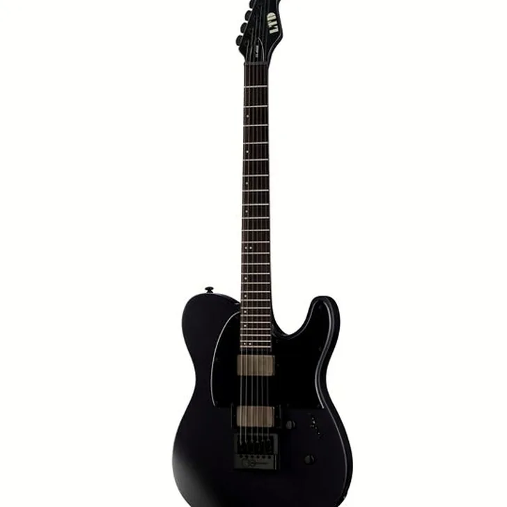 Elektrische gitaar review ESP LTD TE-1000 Evertune CHMS