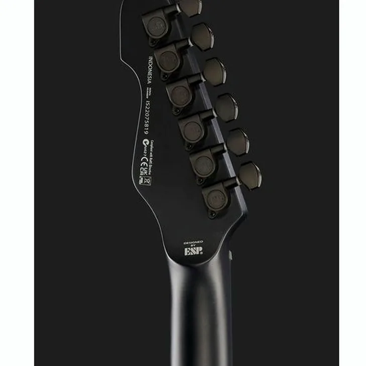 Elektrische gitaar review ESP LTD TE-201 Black Satin