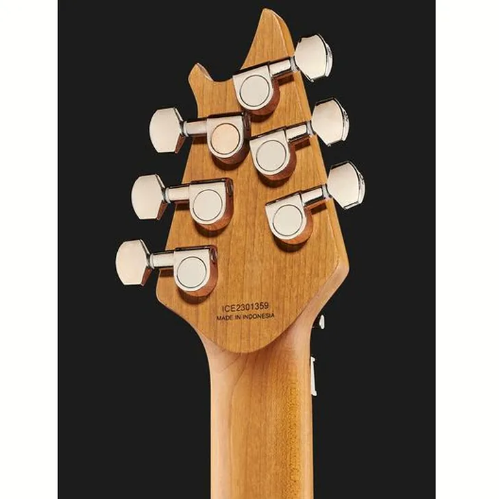 Elektrische gitaar review Evh Wolfgang WG Std QM TG