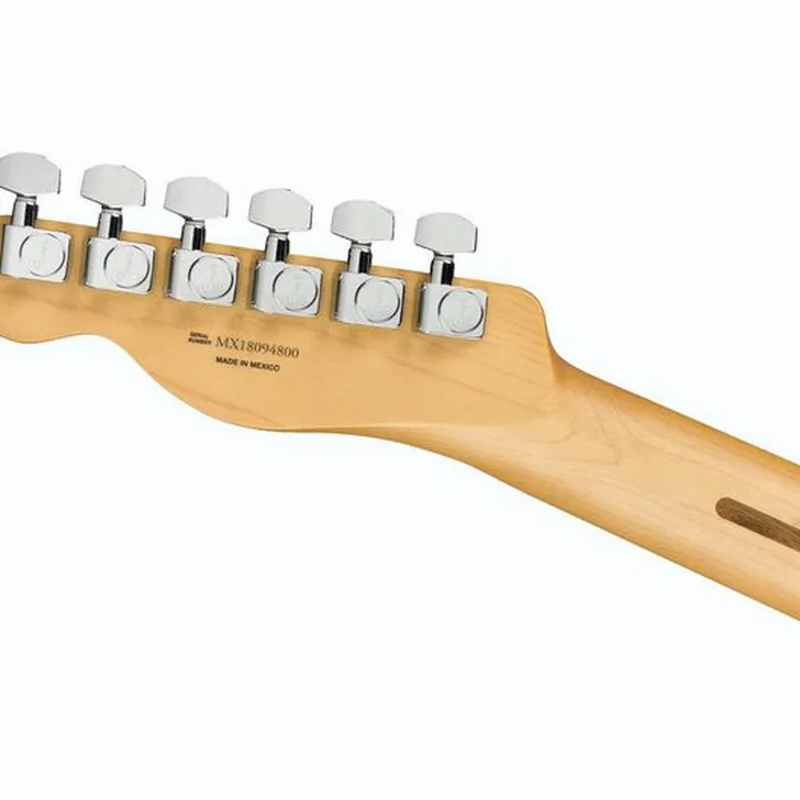 Elektrische gitaar review Fender Player Series Tele MN TPL