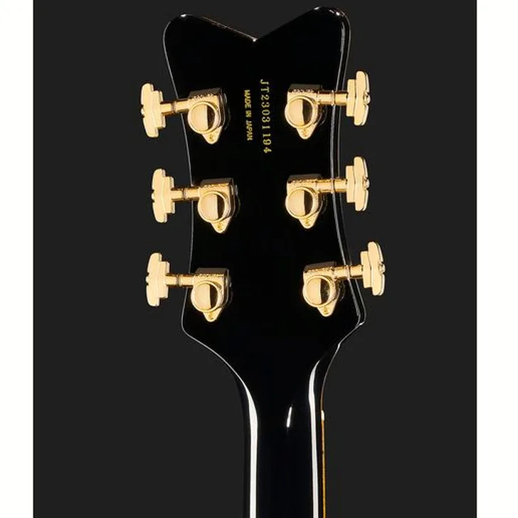 Elektrische gitaar review Gretsch G6636T PE Falcon DC Black