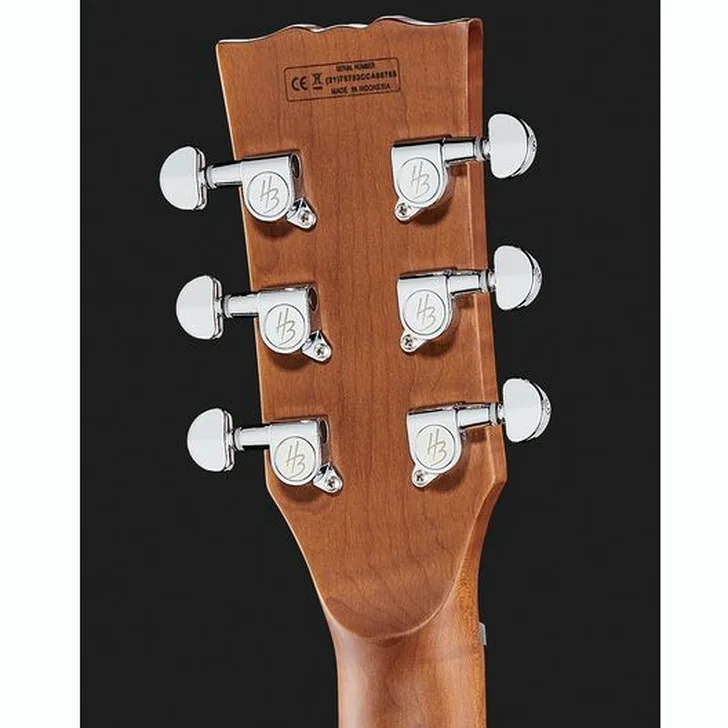Elektrische gitaar review Harley Benton Aeolus Frost Flame