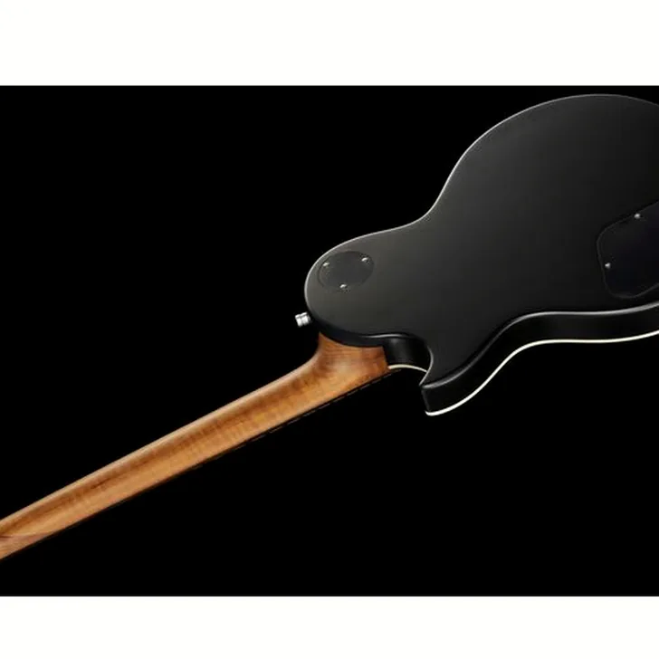 Elektrische gitaar review Harley Benton Agufish STD Signature BK