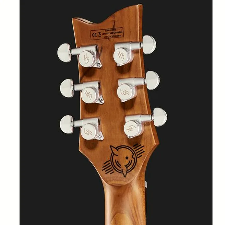 Elektrische gitaar review Harley Benton Agufish STD Signature BK