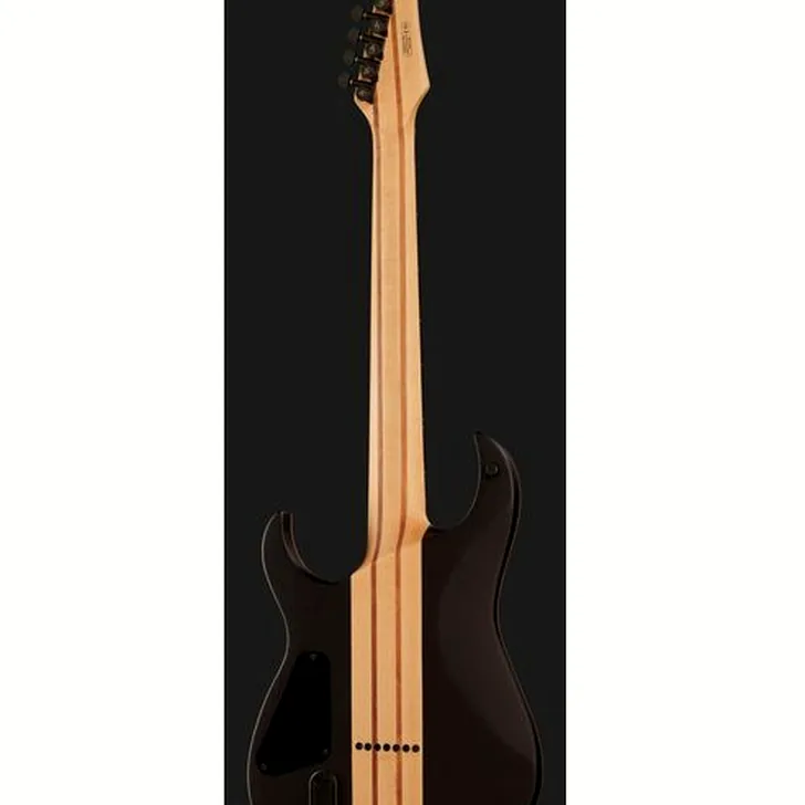 Elektrische gitaar review Harley Benton Amarok-7 BKNT Flame Burst