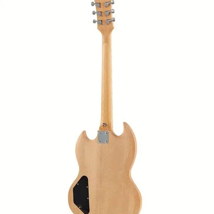 Elektrische gitaar review Harley Benton Electric Guitar Kit DC Style