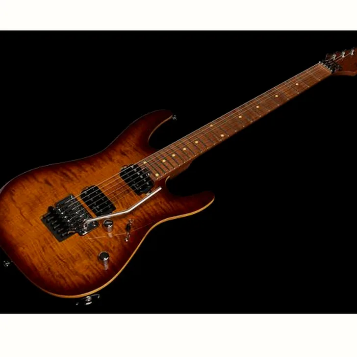 Elektrische gitaar review Harley Benton Fusion-III HH FR Roasted FBB