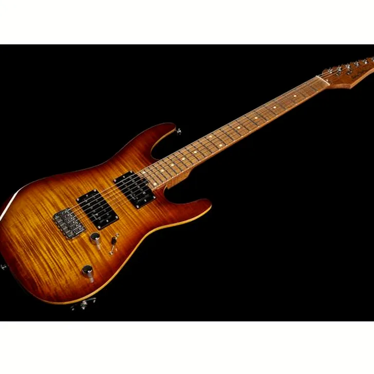Elektrische gitaar review Harley Benton Fusion-III HH HT Roasted FBB
