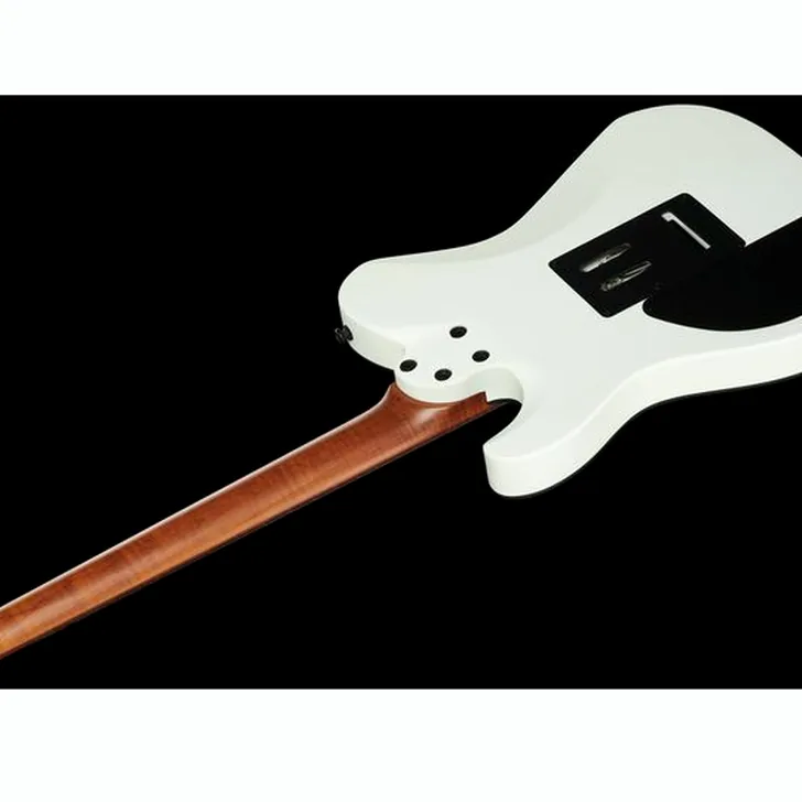 Elektrische gitaar review Harley Benton Fusion-T HH Roasted SW