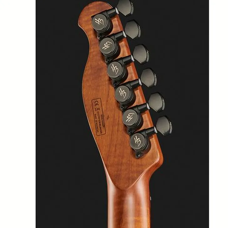Elektrische gitaar review Harley Benton Fusion-T HH Roasted SW