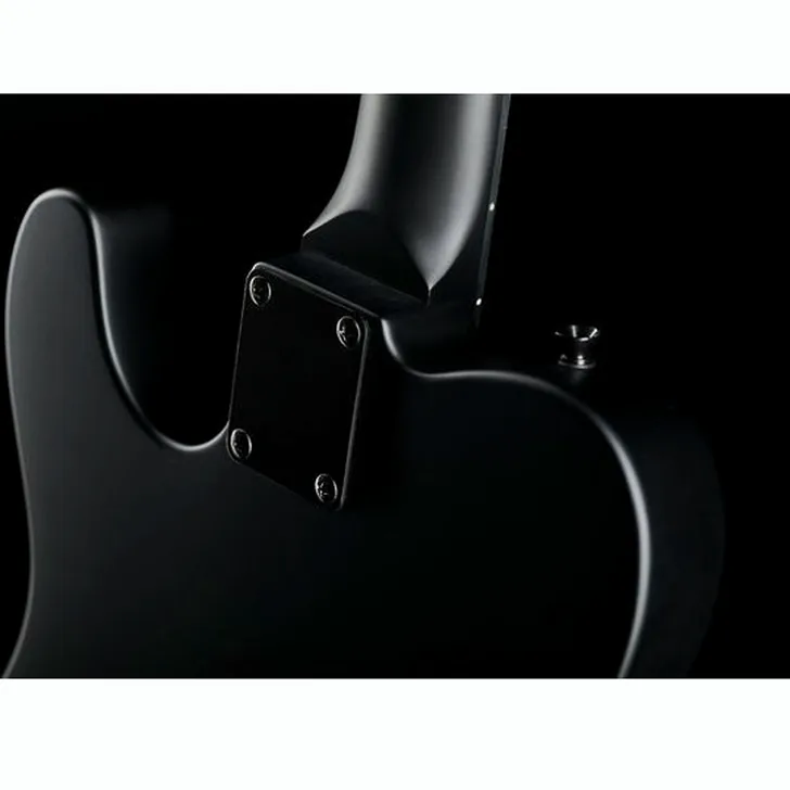 Elektrische gitaar review Harley Benton TE-20HH SBK Standard Series