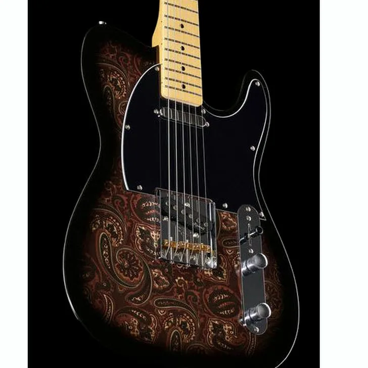 Elektrische gitaar review Harley Benton TE-70 Black Paisley