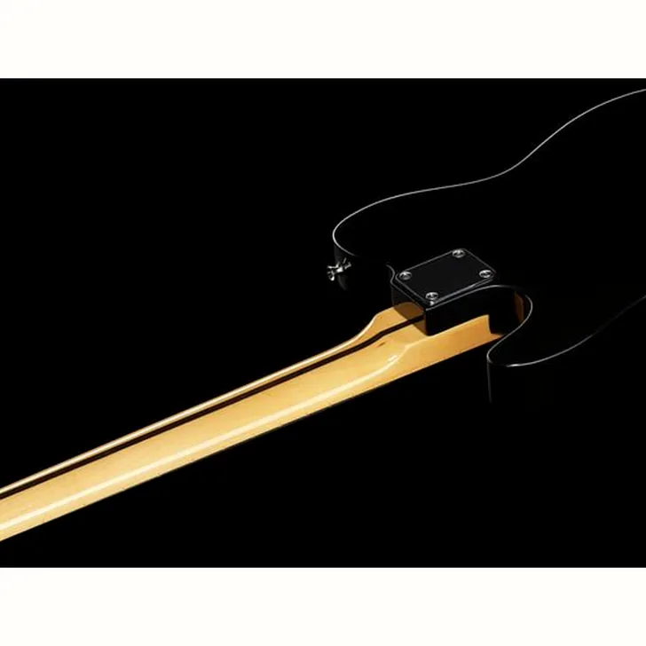 Elektrische gitaar review Harley Benton TE-70 Black Paisley