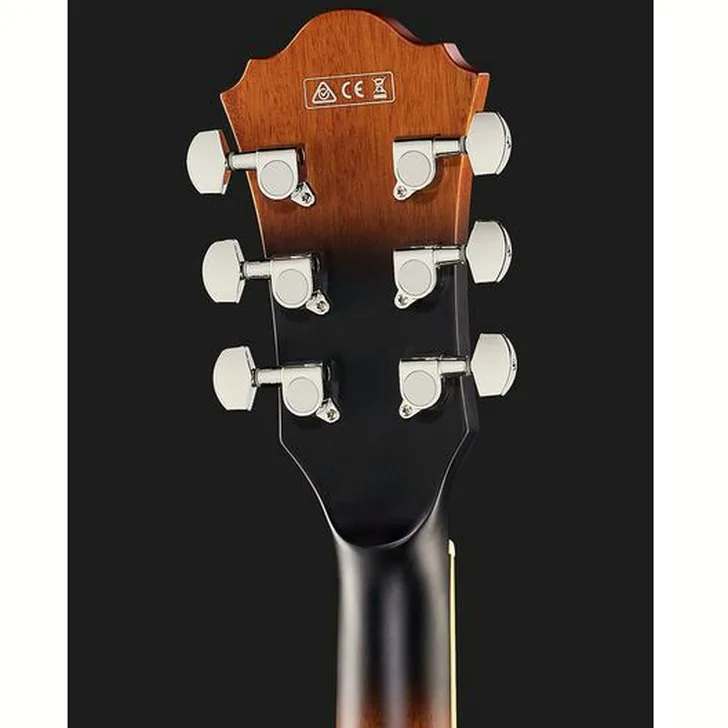 Elektrische gitaar review Ibanez AF55-TF