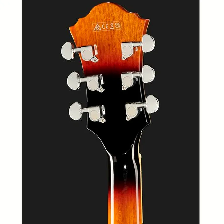Elektrische gitaar review Ibanez AF75-BS