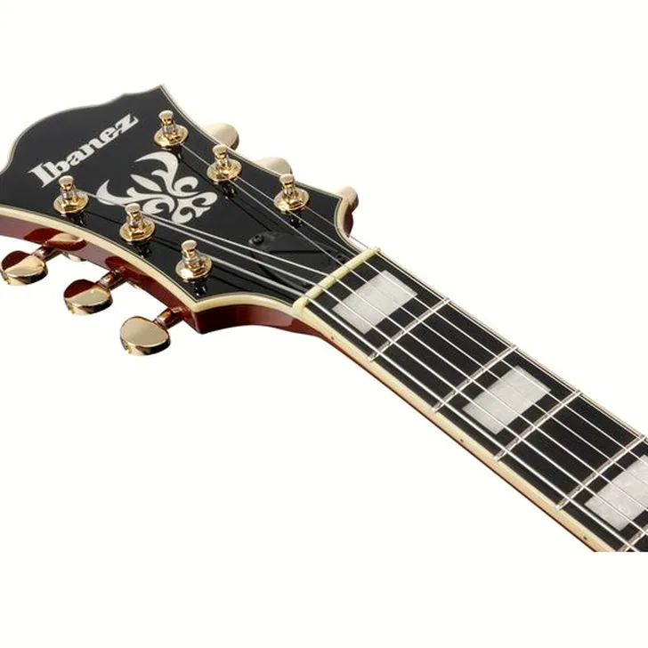 Elektrische gitaar review Ibanez AF95-DA