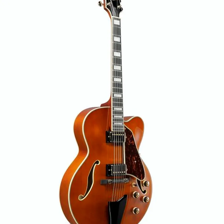 Elektrische gitaar review Ibanez AF95-DA