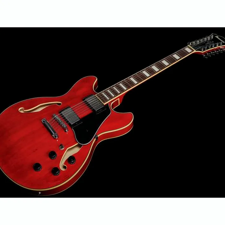 Elektrische gitaar review Ibanez AS7312-TCD