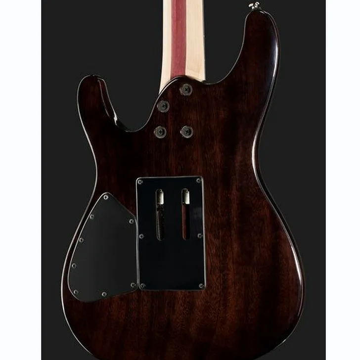 Elektrische gitaar review Ibanez JIVA 10-DSB