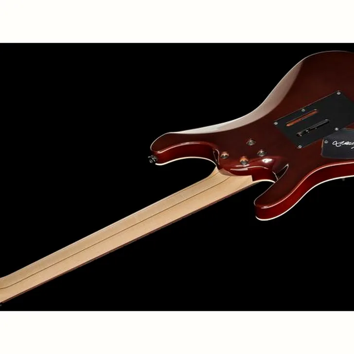 Elektrische gitaar review Ibanez KIKO100-TRR