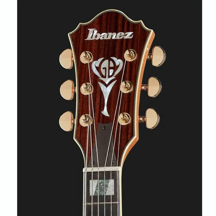 Elektrische gitaar review Ibanez LGB30-NT