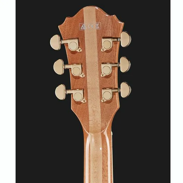 Elektrische gitaar review Ibanez LGB30-NT