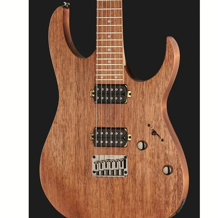 Elektrische gitaar review Ibanez RG421-MOL
