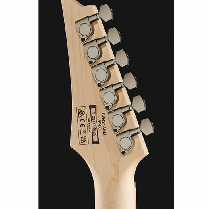 Elektrische gitaar review Ibanez RG421AHM-BMT