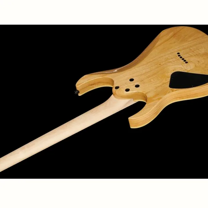 Elektrische gitaar review Ibanez RG421AHM-BMT
