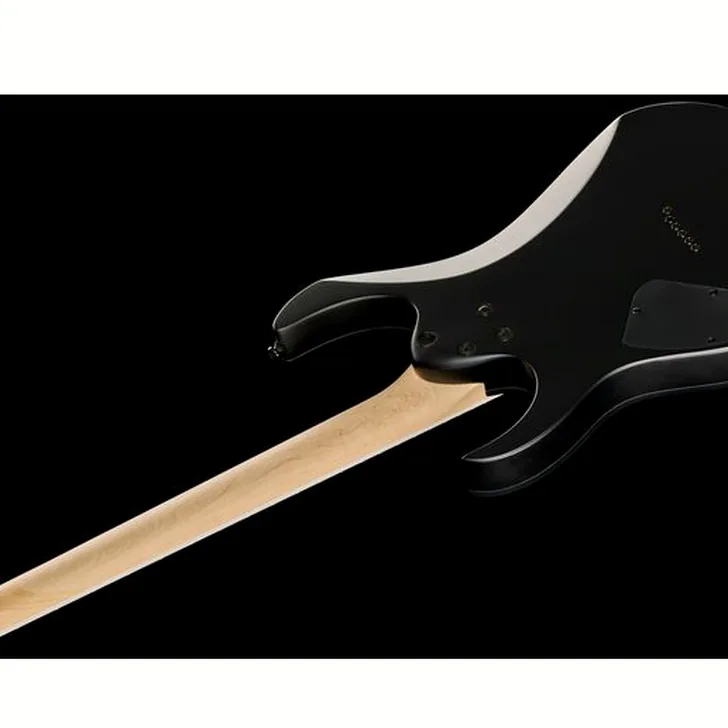 Elektrische gitaar review Ibanez RG421EX-BKF